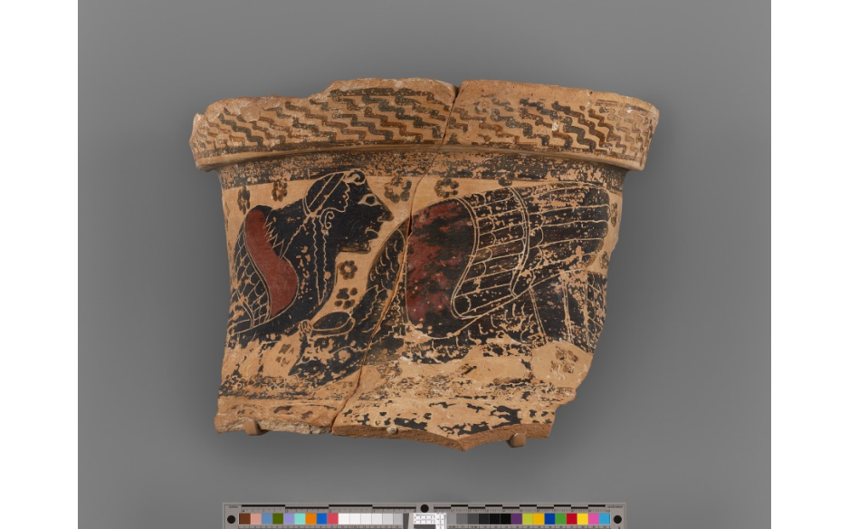 Reassembled fragments from an Attic black-figure neck amphora shown with a scale
