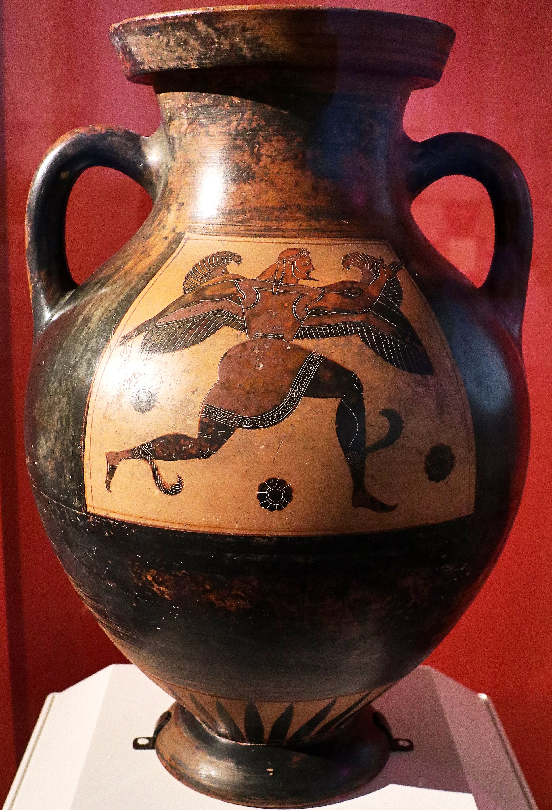 Attic black-figure amphora with curved handles and painted figures