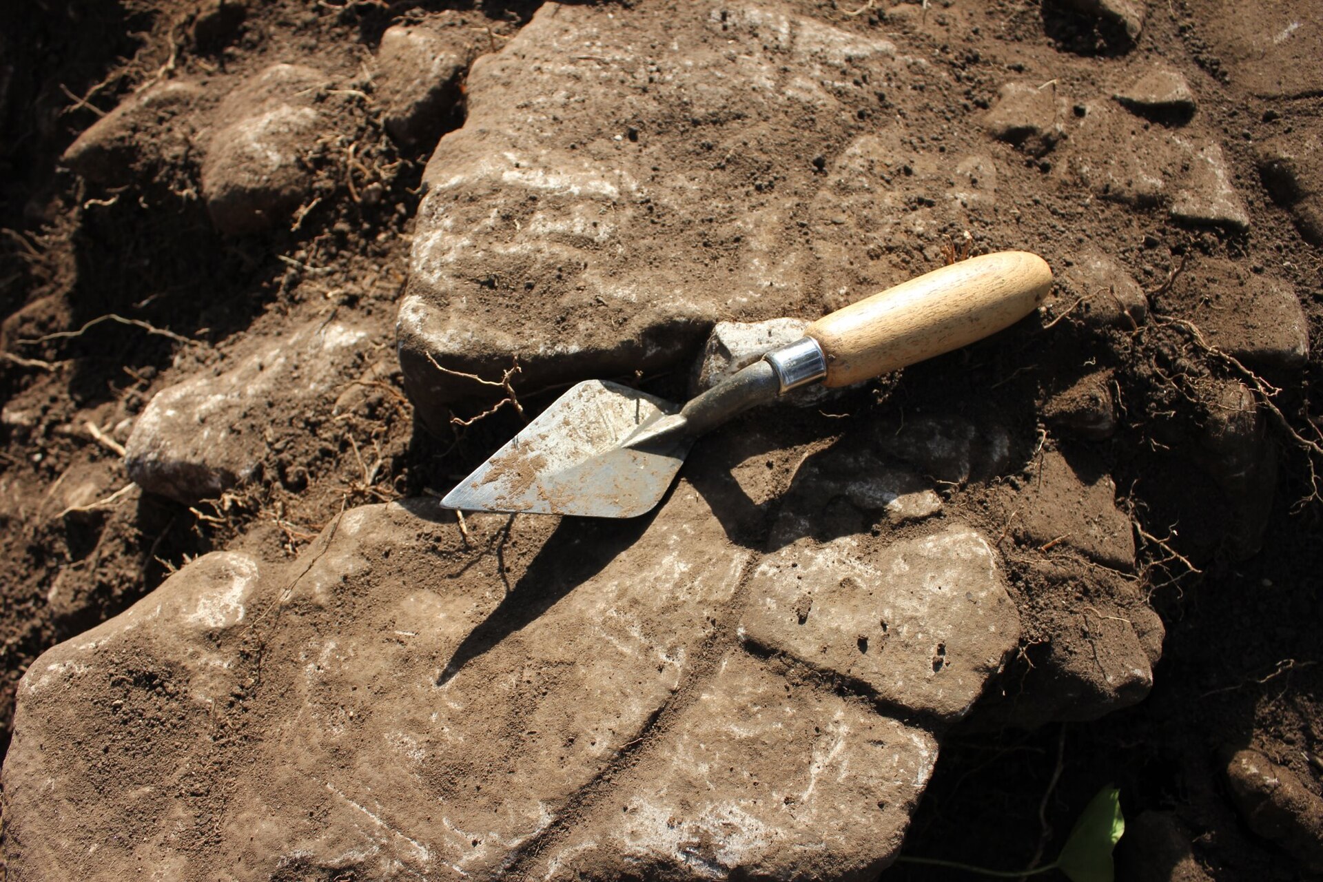 An archaeology trowel resting on exposed soil and stone